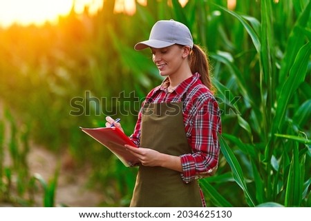 Woman farmer agronomist working in corn field and planning income of harvest. Female examining and checking quality control of produce maize crop. Agriculture management and agribusiness