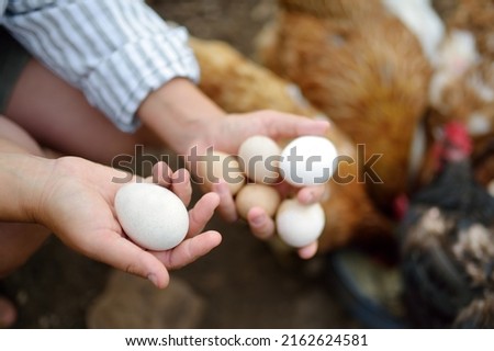 Woman farmer collecting fresh organic eggs on chicken farm. Floor cage free chickens is trend of modern poultry farming. Small local business.