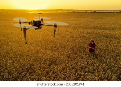 Der weibliche Landwirt kontrolliert die Drohne mit einer Tablette. Intelligente Landwirtschaft und Präzisionslandwirtschaft