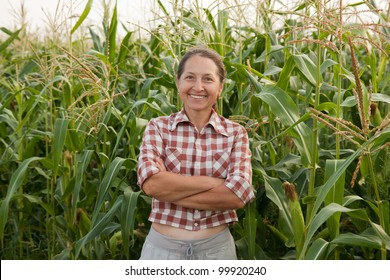 Woman Farmer In A Field Of Corn Cobs