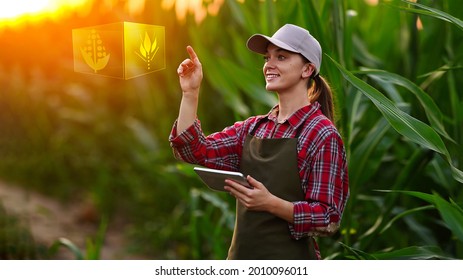 Woman farmer holding tablet with smart innovation IT technology at agronomy industry. Digital farm system at agriculture management. Controlling and detecting crops - Shutterstock ID 2010096011