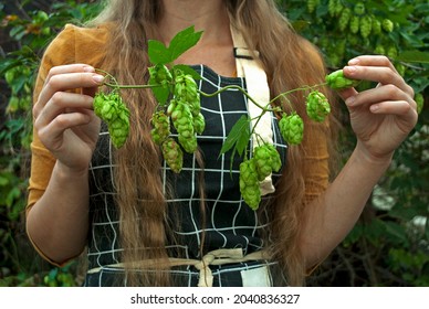 A Woman Farmer Holds A Branch Of Hops. Grow Hops. Brewing.