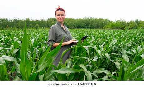 Woman Farmer With Lap Top In Cultivated Agricultural Corn Field Looking At Camera.