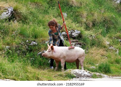 Woman Farmer Lovely Taking Care Of A Domestic Pig Outdoors