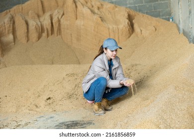 Woman Farmer Squatting At Heap Of Soybean Husk In Fodder Storage.