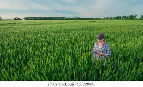 A Woman Farmer With A Tablet In Her Hands Stands In A Vast Field Of Green Wheat