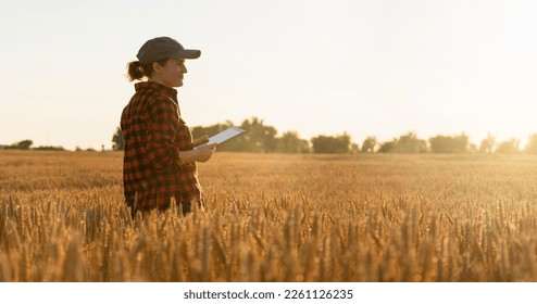 Woman farmer with tablet in a wheat field at sunset. - Shutterstock ID 2261126235