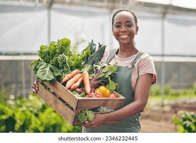 Woman, farmer and vegetables in greenhouse for agriculture, agro business and growth or product in box. Portrait of African worker with harvest, gardening and food, carrot or lettuce in basket