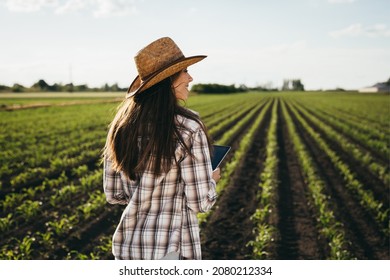 woman farmer walking on corn field - Shutterstock ID 2080212334