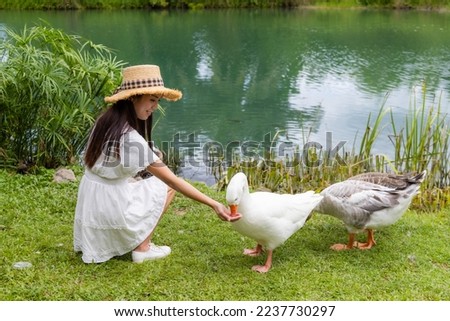 Woman feed the goose at lakeside