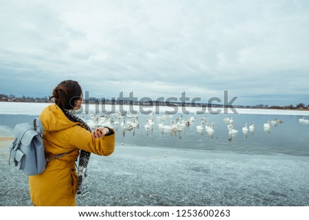 woman feed swans on frozen winter lake
