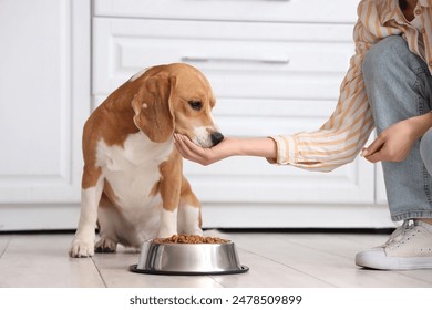 Woman feeding Adorable Beagle dog near bowl with dry food in kitchen - Powered by Shutterstock