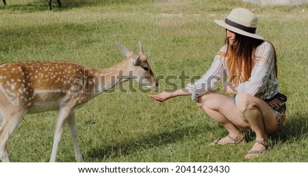 Woman feeding cute spotted deer bambi at petting zoo. Happy traveler girl enjoys socializing with wild animals in national park in summer. Baby fawn deer playing with people in contact zoo