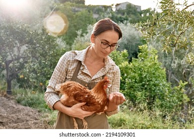 Woman feeding hens from hand in the farm. Free-grazing domestic hen on a traditional free range poultry organic farm. Adult chicken walking on the soil. - Powered by Shutterstock