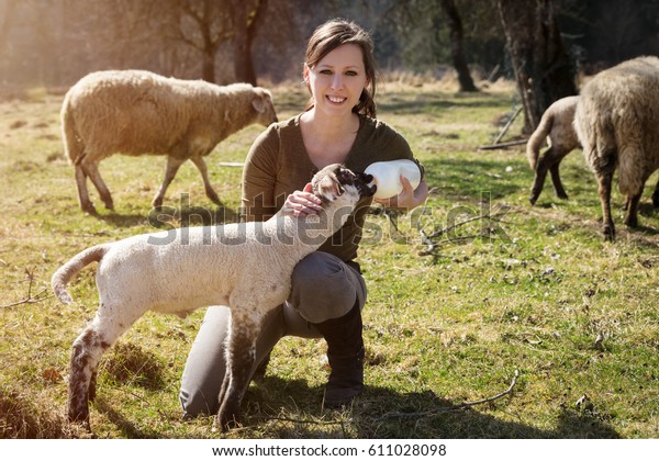 Woman is feeding a lamb with bottle of milk,\
concept animal welfare and\
rearing