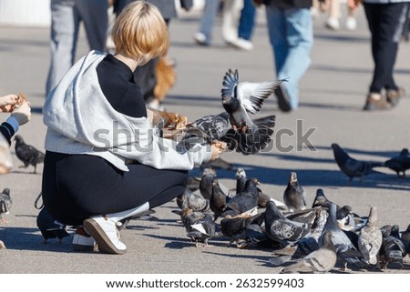 A woman is feeding pigeons on the ground. There are many pigeons around her, and some of them are eating the food she is offering. The scene is lively and peaceful, with the birds enjoying the food