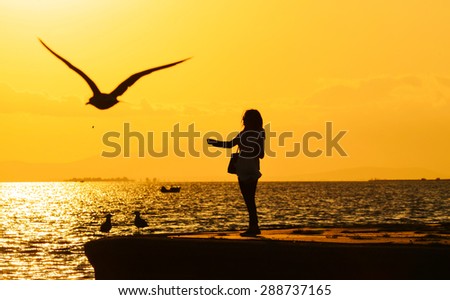 Woman feeding seagull, silhouette. 