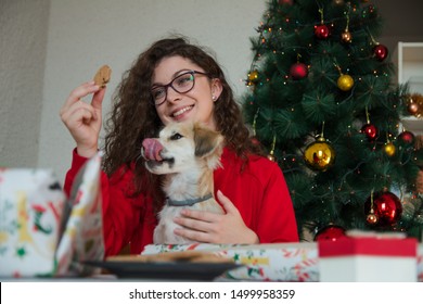 Woman Feeding Small Dog With Christmas Cookies