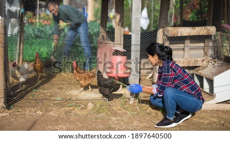 Woman feeds hens in chicken coop in the backyard of country house