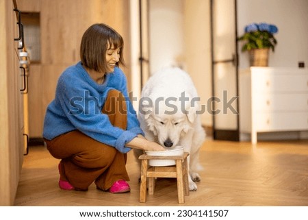 Woman feeds her huge white dog at home. Concept of dog nutrition and lifestyle at home. Maremma shepherd dog