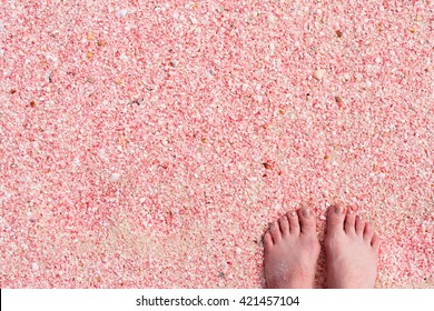 Woman Feet On Pink Sand Beach At Barbuda Island In Caribbean Made Of Tiny Pink Shells, Close Up Photo