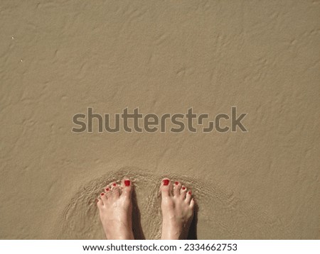 woman feet with red painted nails on the seashore