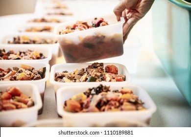 Woman Is Filling Bowls With Homemade Dog Food, Ready To Freezing The Dog Treat Portions, Diy Recipe