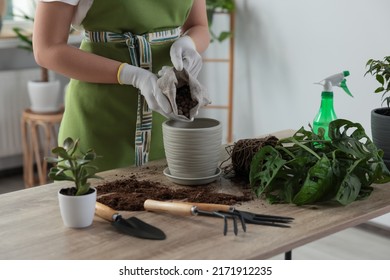 Woman Filling Flowerpot With Drainage At Table Indoors, Closeup. Houseplant Care