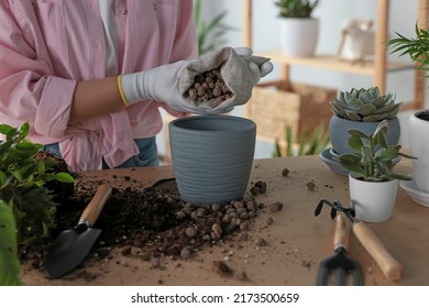 Woman Filling Flowerpot With Drainage At Table Indoors, Closeup. Houseplant Care