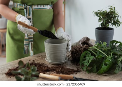 Woman Filling Flowerpot With Soil At Table Indoors, Closeup. Houseplant Care