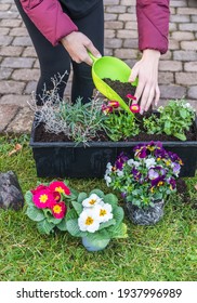 Woman Filling Potting Soil Into A Flower Box After Planting The Flowers