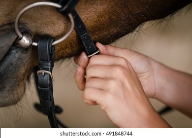 Woman Fixing Horse Bridle With Snaffle Bit, Closesup