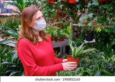 Woman Florist In Face Mask Buys Dracaena Plant For Home Garden