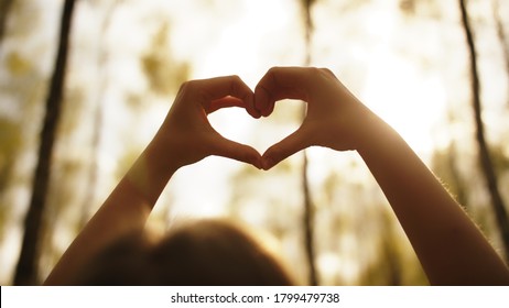 Woman Framing Sun With Her Hands In Heart Shape. Copy Space. High Quality Photo