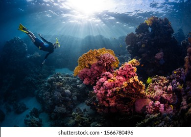 Woman freediver swims underwater and explores vivid coral reefs - Powered by Shutterstock