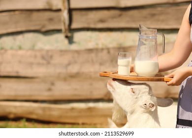 Woman With Fresh Goat Milk On Farm