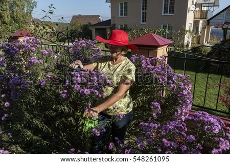 Woman in the garden Florist. Caring for garden flowers.