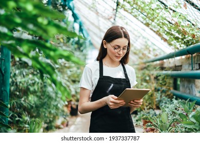 Woman gardener in apron working in a garden center. Environmentalist using tablet computer in greenhouse. - Powered by Shutterstock