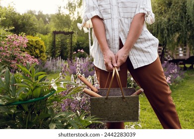 woman gardener holding box with garden working tools in summer - Powered by Shutterstock