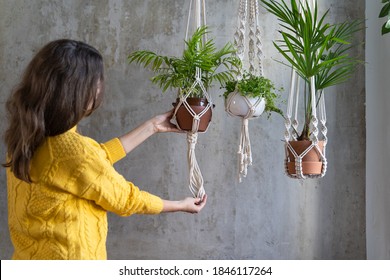 Woman gardener holding macrame plant hanger with houseplant over grey wall. Hobby, love of plants, home decoration concept. 