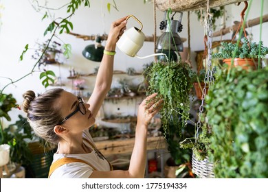 Woman Gardener In Orange Overalls Watering Potted Houseplant In Greenhouse Surrounded By Hanging Plants, Using White Watering Can Metal. Home Gardening, Love Of Plants And Care. Small Business. 