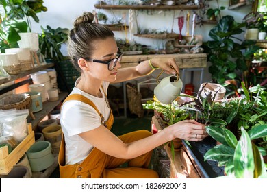 Woman gardener in orange overalls watering potted houseplant in greenhouse surrounded by plants and pots, using white watering can metal. Home gardening, love of plants and care. Small business. - Powered by Shutterstock