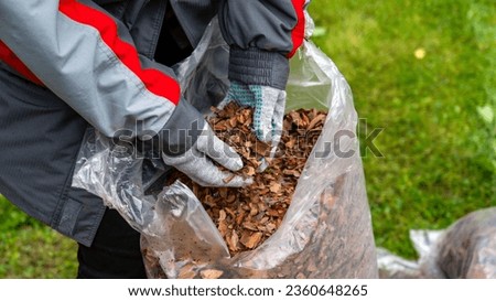 Woman gardener thinks and chooses mulch, Mulch from bark of coniferous trees of fine fraction, mulch closeup in open bag, female gardener holds open bag with both hands.