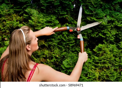 Woman Gardener Trimming The Hedge In Her Garden In Summer