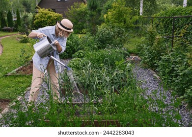 woman gardener watering raised garden beds in summer. Growing fresh vegetables - Powered by Shutterstock