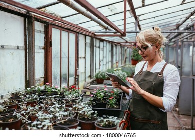 woman gardener working in greenhouse - Powered by Shutterstock