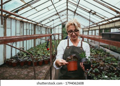 woman gardener working in his green house nursery - Powered by Shutterstock