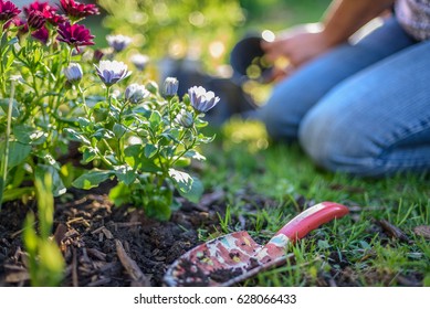 Woman Gardening On A Sunny Spring Day With Garden Spade In Foreground- Hands Only, Soft Focus