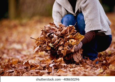 秋に葉を集める女性の接写の写真素材