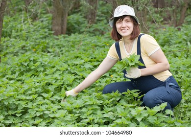 Woman Gathers Nettle At Spring Garden